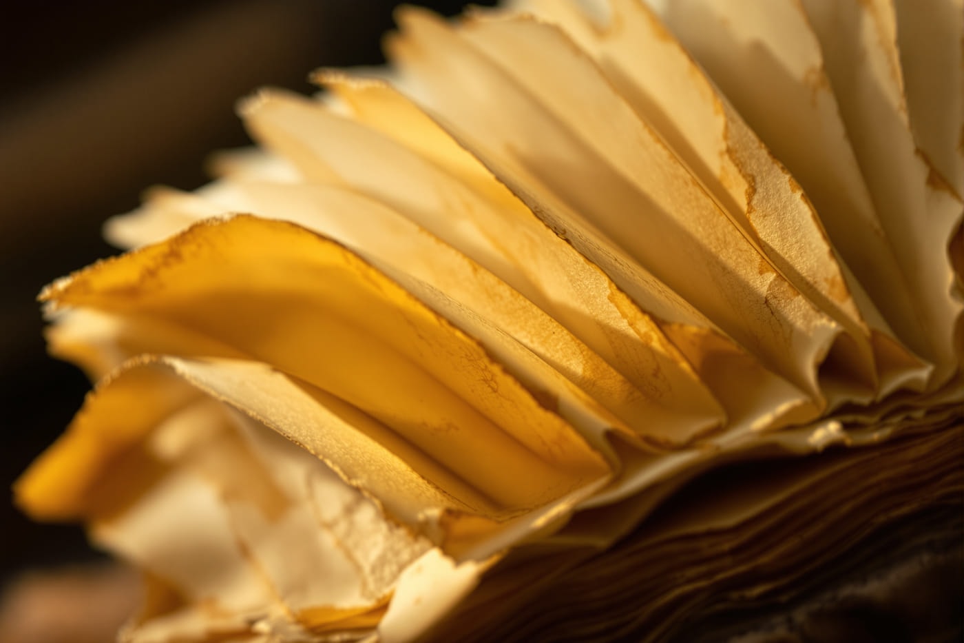 Fanned edges of aged parchment leaves in a medieval codex
